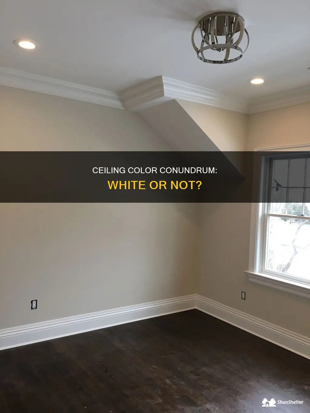 Ceiling Color Conundrum White Or Not? ShunShelter