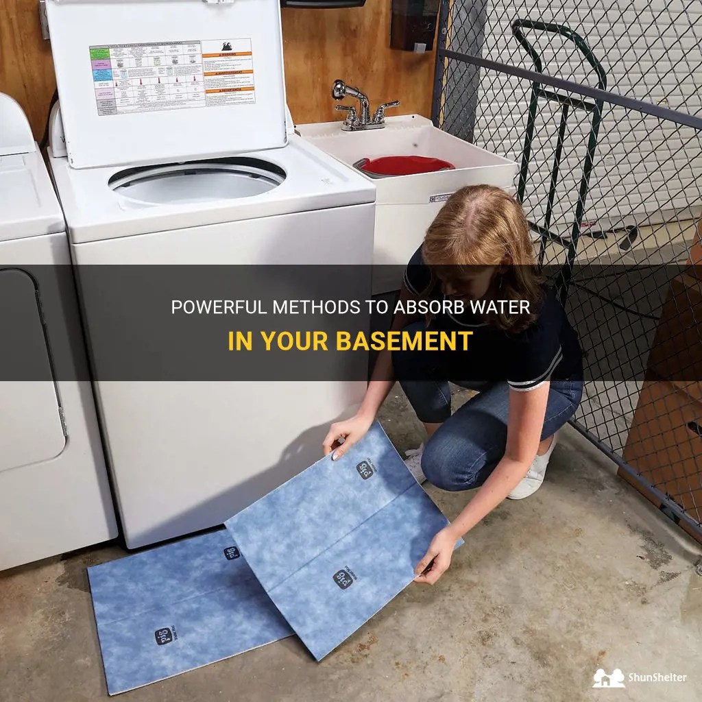 Powerful Methods To Absorb Water In Your Basement ShunShelter