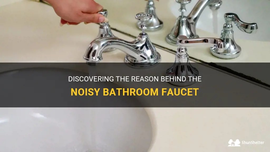 Discovering The Reason Behind The Noisy Bathroom Faucet ShunShelter