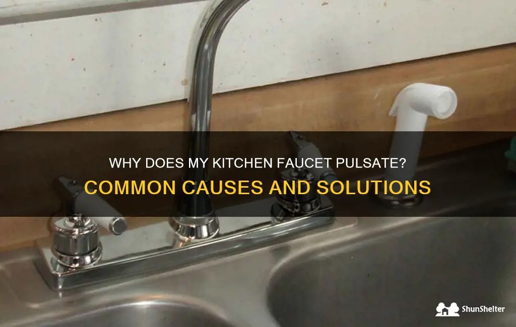Why Does My Kitchen Faucet Pulsate? Common Causes And Solutions