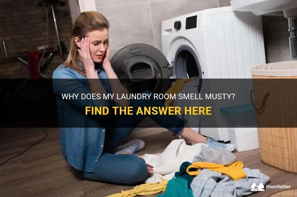 Why Does My Laundry Room Smell Musty? Find The Answer Here ShunShelter