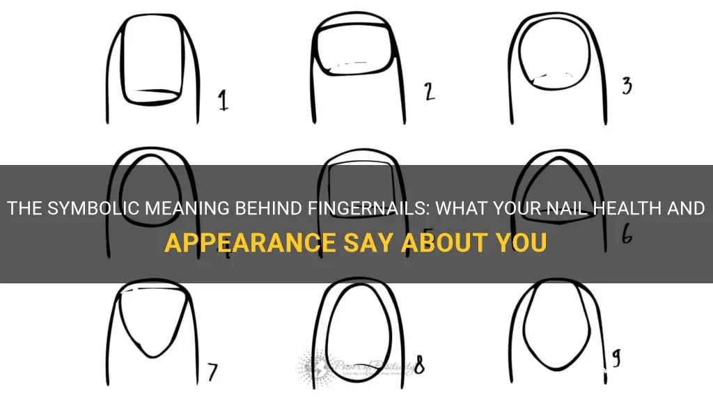 The Symbolic Meaning Behind Fingernails What Your Nail Health And
