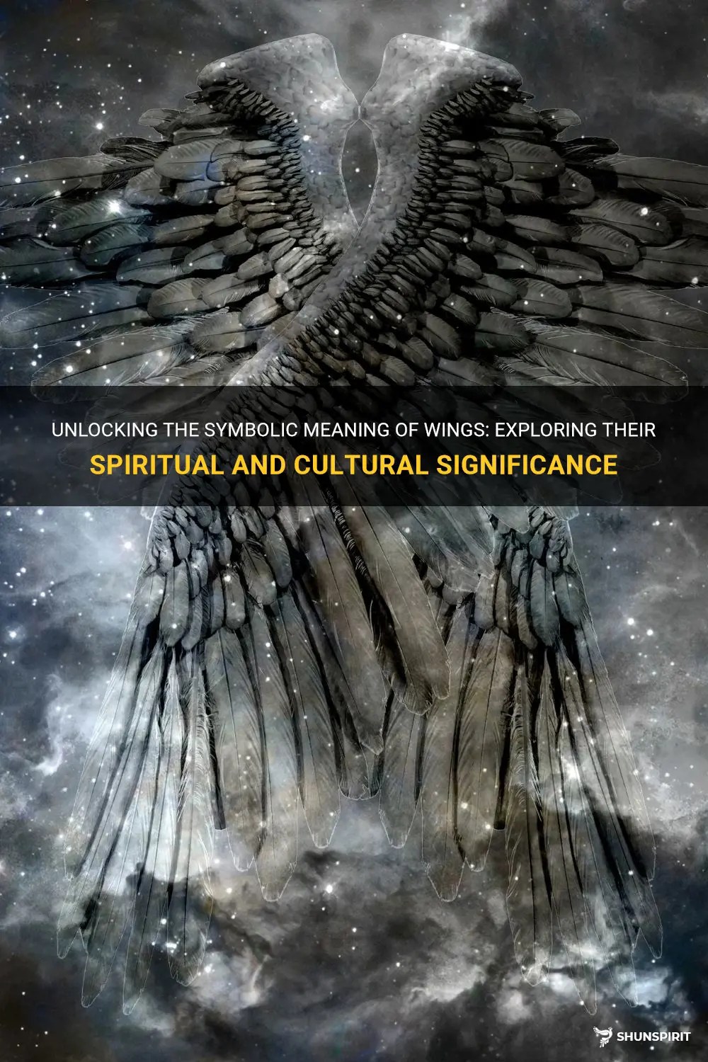 Unlocking The Symbolic Meaning Of Wings Exploring Their Spiritual And