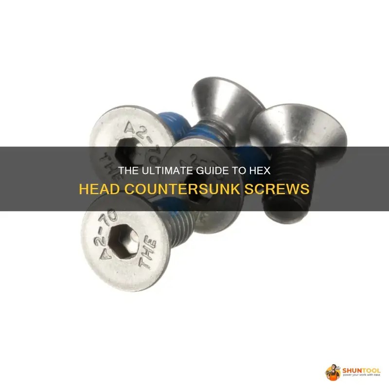 The Ultimate Guide To Hex Head Countersunk Screws ShunTool
