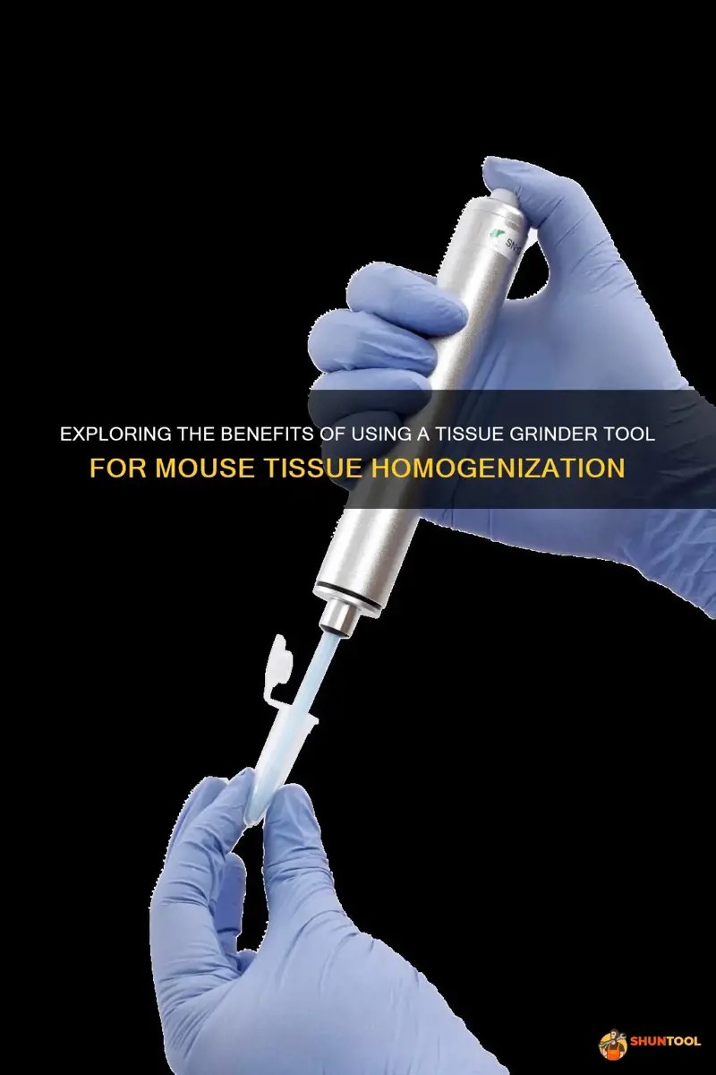 Exploring The Benefits Of Using A Tissue Grinder Tool For Mouse Tissue