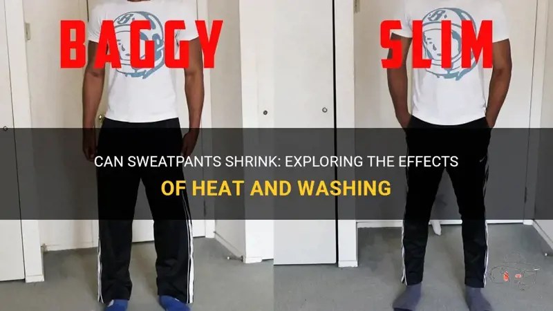 Can Sweatpants Shrink Exploring The Effects Of Heat And Washing