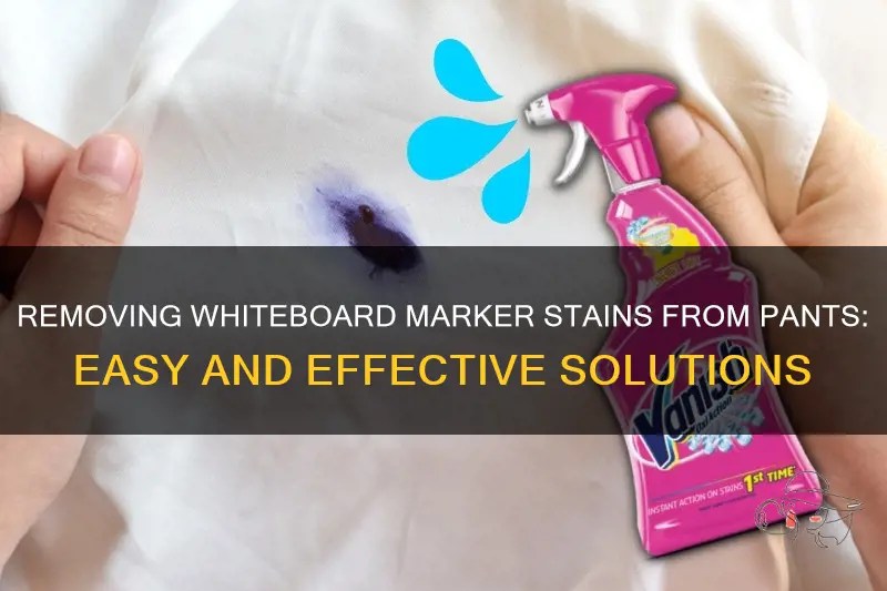 Removing Whiteboard Marker Stains From Pants Easy And Effective