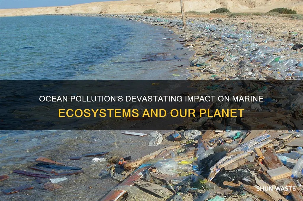 Ocean Pollution's Devastating Impact On Marine Ecosystems And Our
