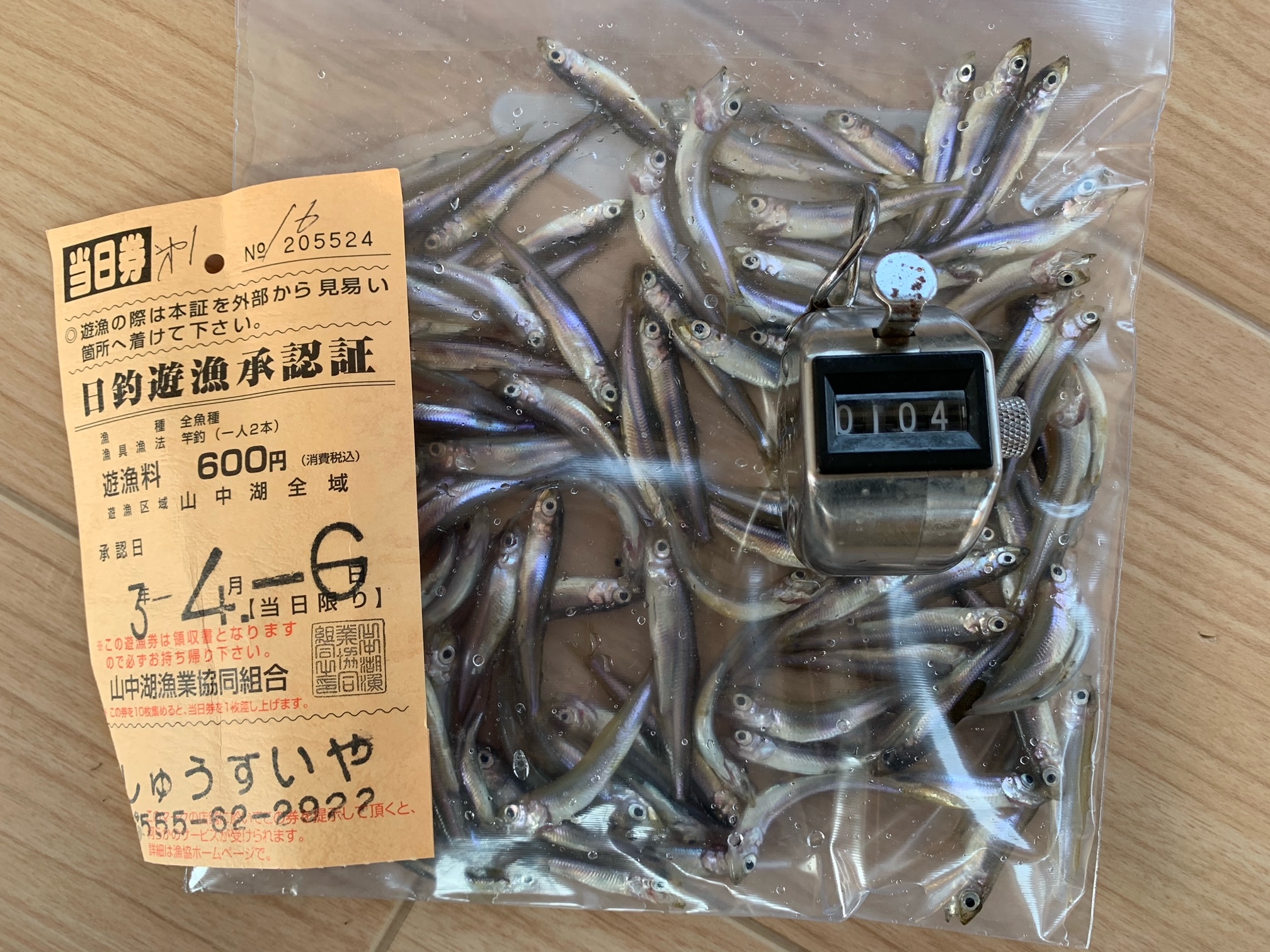 山中湖わかさぎ釣りドーム船 しゅうすいやボートハウス