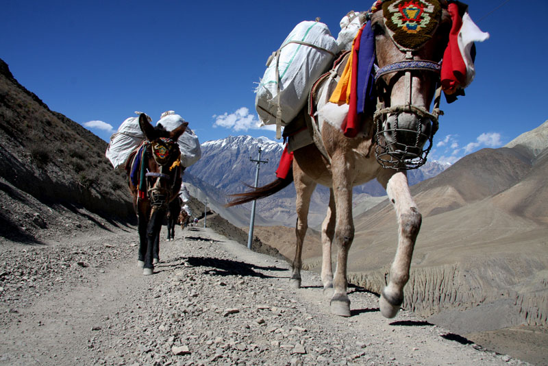 transportation_highland