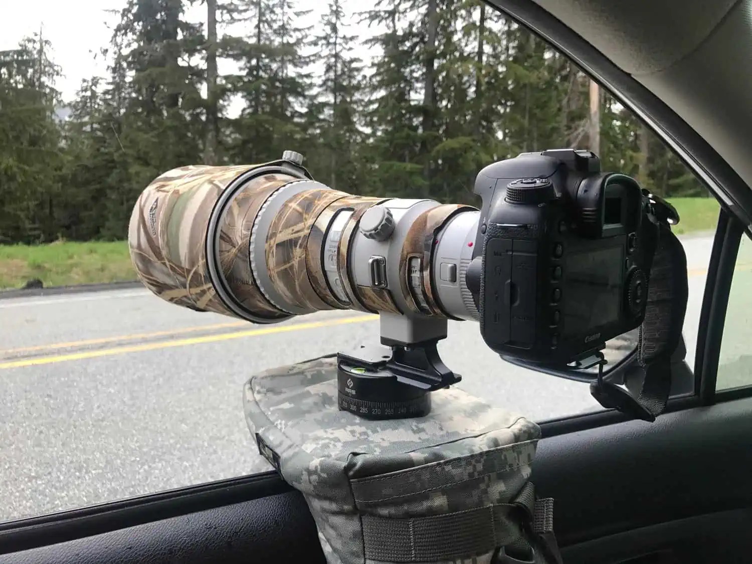 8 Easy Tips for Photographing Wildlife from Your Car
