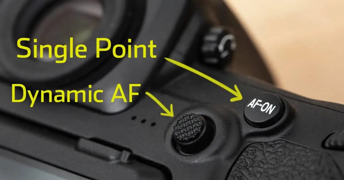 How to Set up Double Back Button Autofocus on Nikon Cameras for Quick
