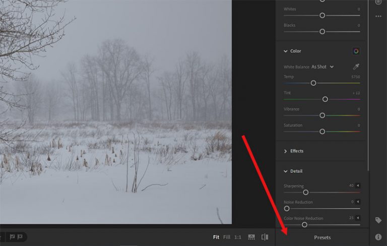 How to Install Presets in Lightroom CC Shutter Pulse