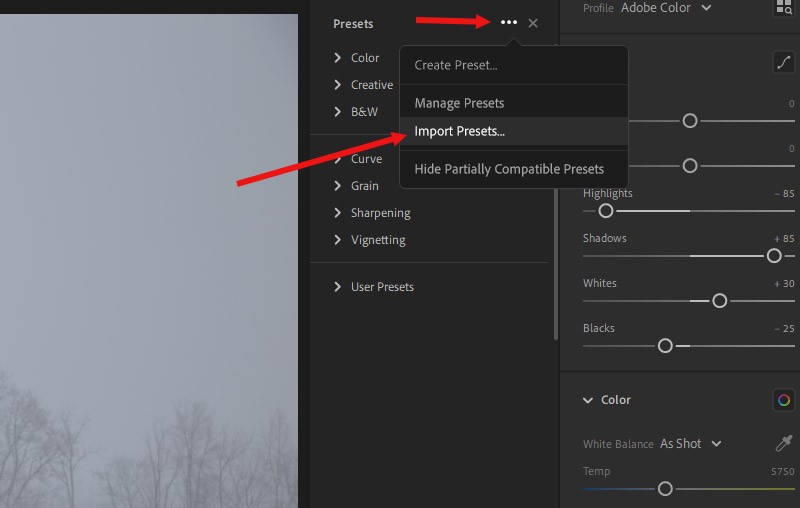 How to Install Presets in Lightroom CC Shutter Pulse