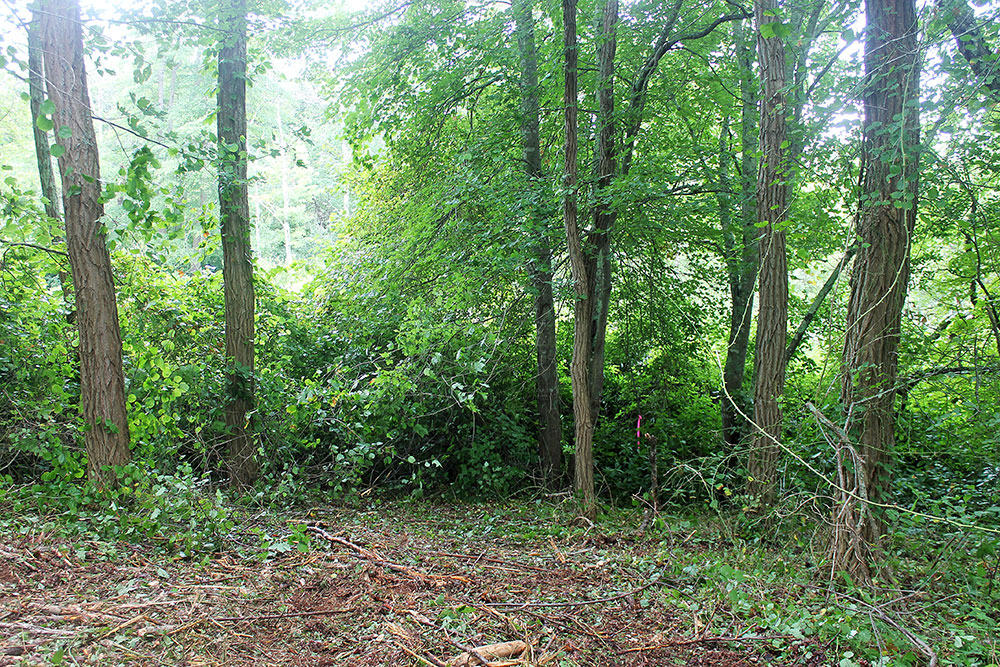 Shutters & Sails » Middle Farms Undeveloped Land