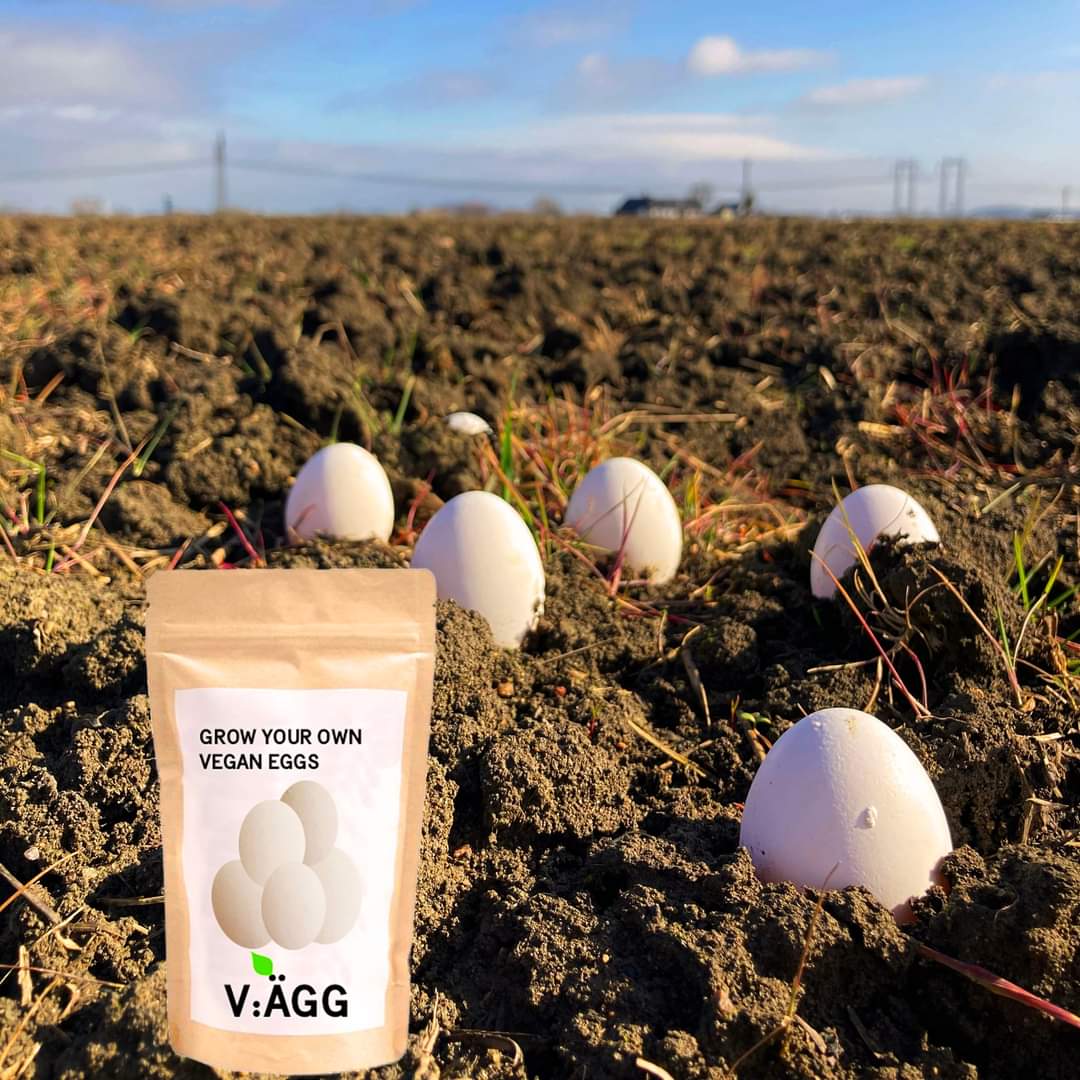 Vegan Egg Seeds Shut Up And Take My Money