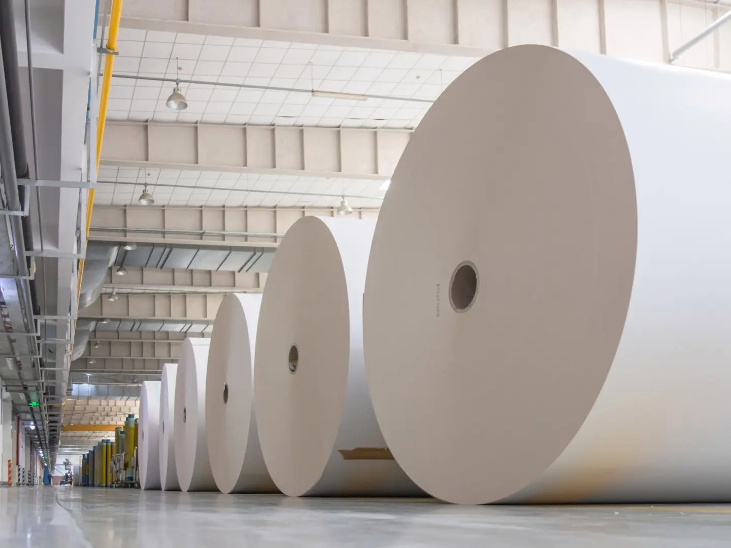 White Paper | Print-White | Multi-White | Proprint - Siba