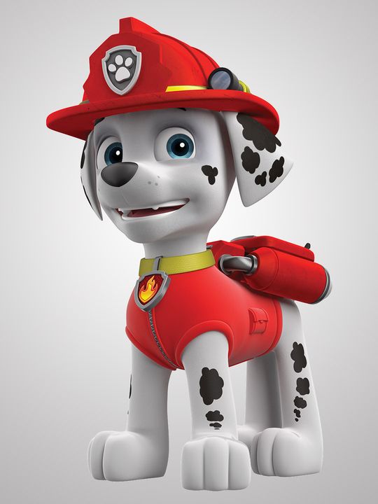 15 Best Paw Patrol Characters Of All Time
