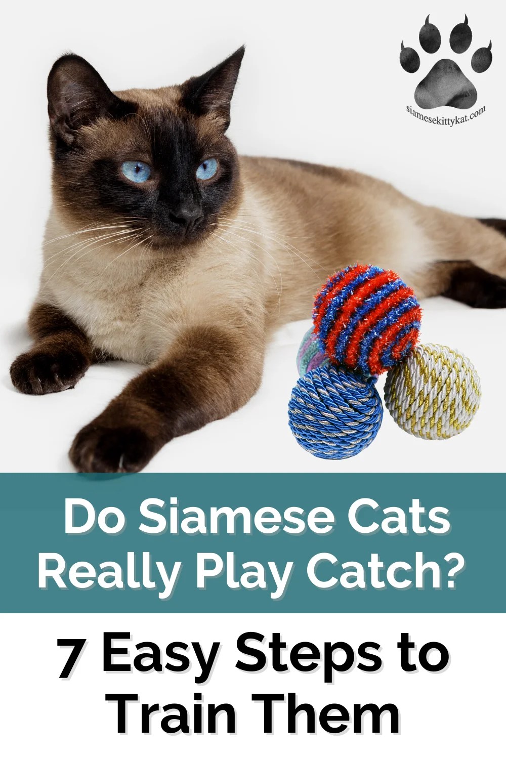 Siamese Cats Playing Catch Fact or Myth?