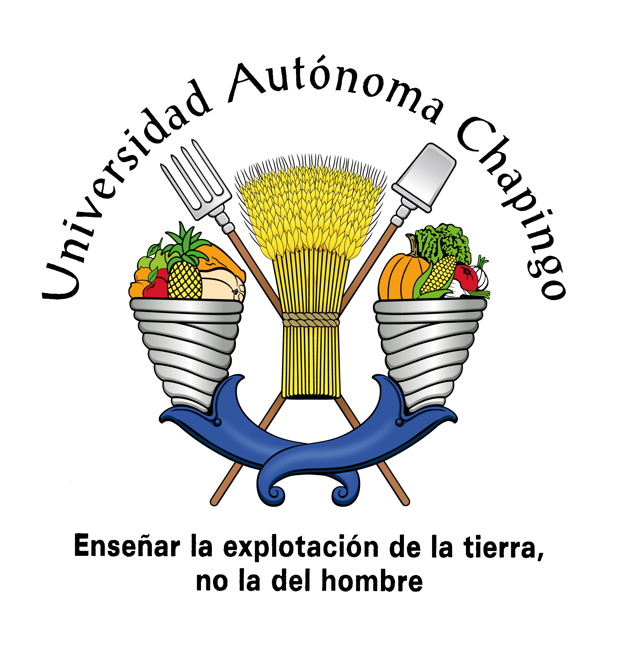 SOLUCIONES INTEGRALES S.A de C.V