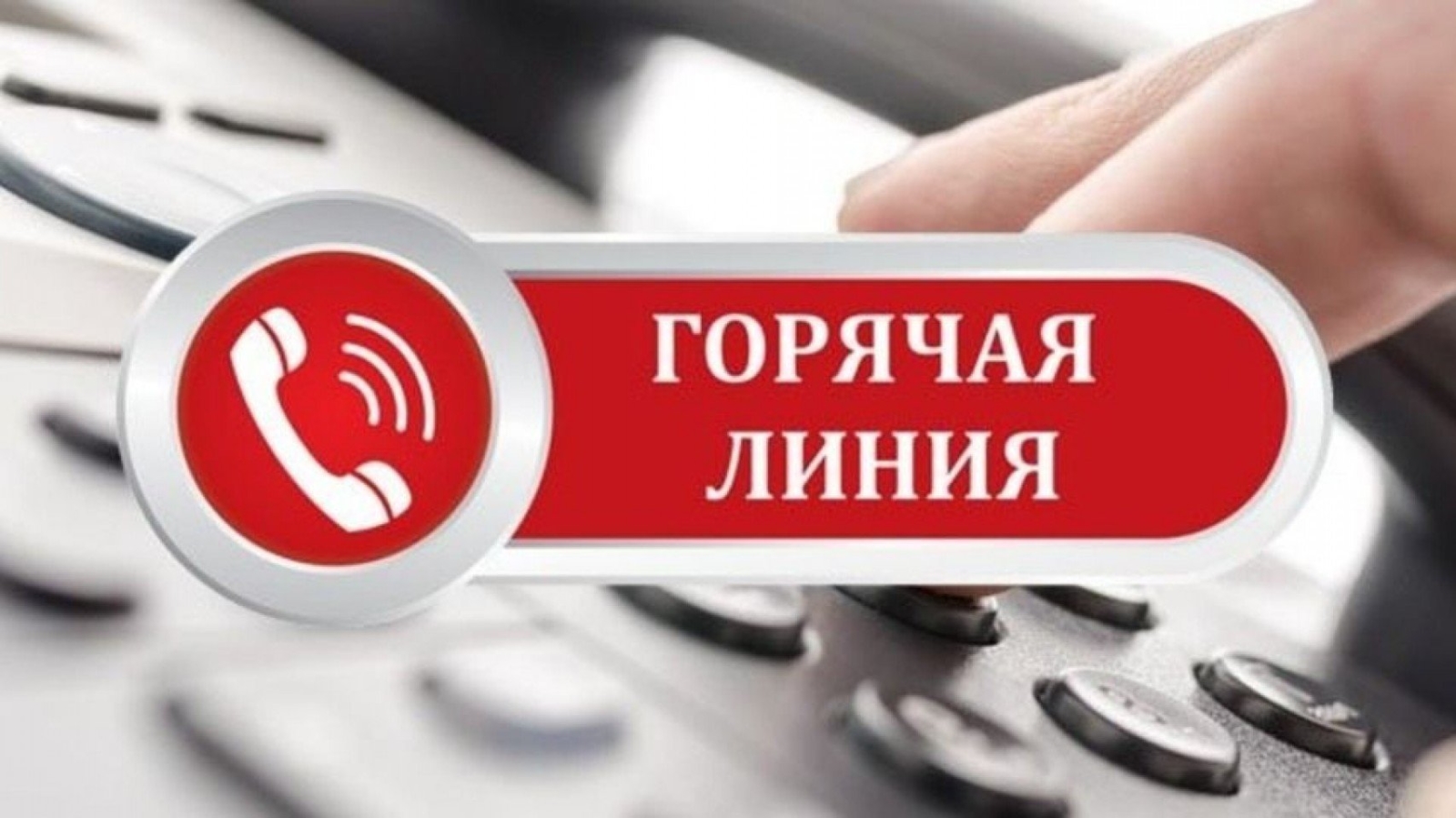 Выявить точки продаж. В УстьИлимске открыта горячая линия «Сообщи, где