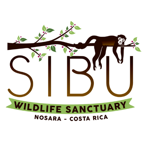 Sibu Wildlife Sanctuary in Nosara, Costa Rica
