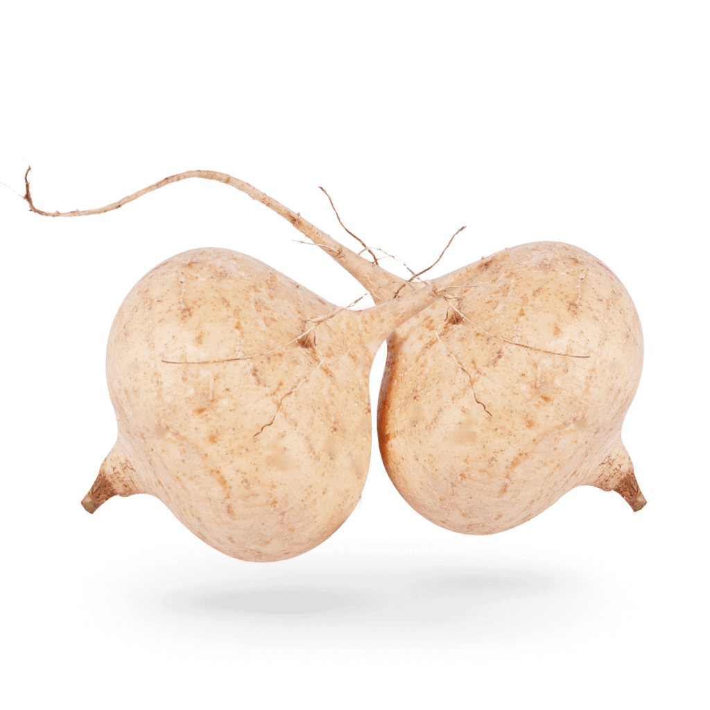 Lista 97+ Foto Que Es La Jicama Verdura O Fruta Alta Definición