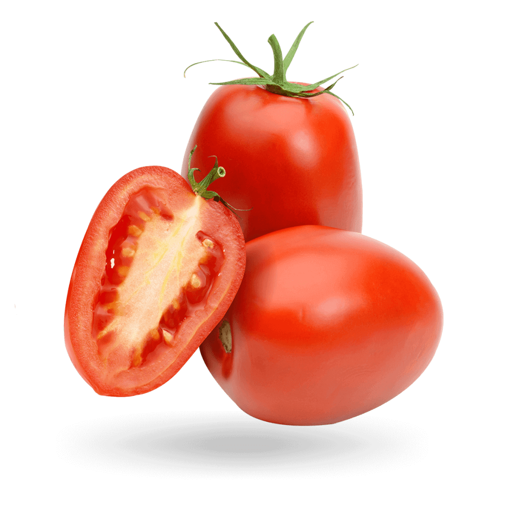 Tomate Roma SicarFarms