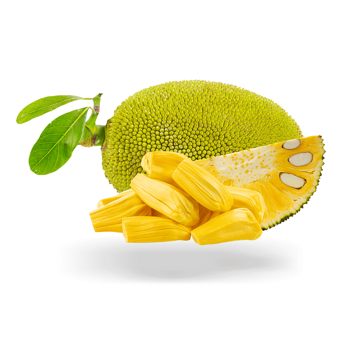 Jackfruit SicarFarms