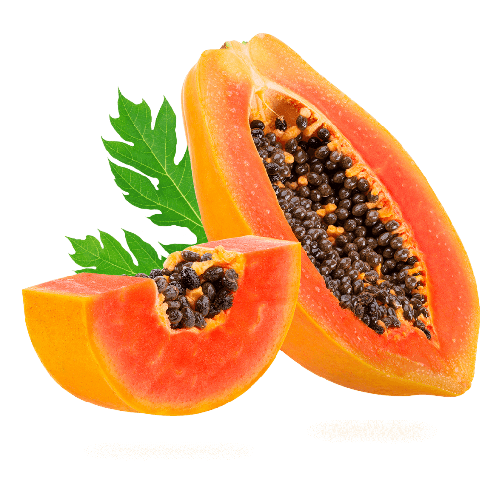 Papaya. SicarFarms