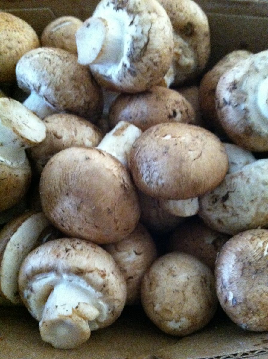 060 Cremini Mushrooms (Baby Bella)Sicilian Girl
