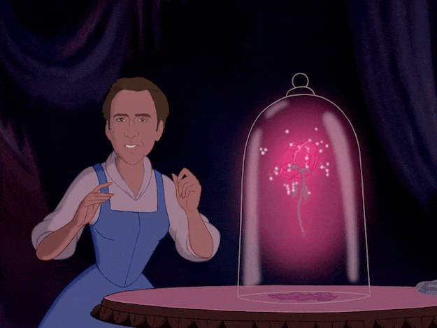 Nicolas Cage As Your Favourite Disney Princesses Sick Chirpse