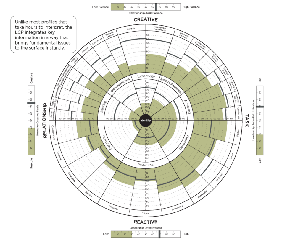 Leadership Circle Profile Sicora Consulting