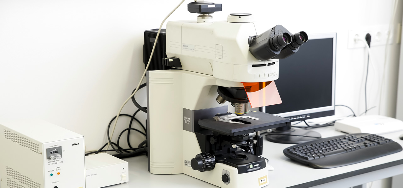 OPTICAL MICROSCOPES 3 Main Categories of Light Microscopes