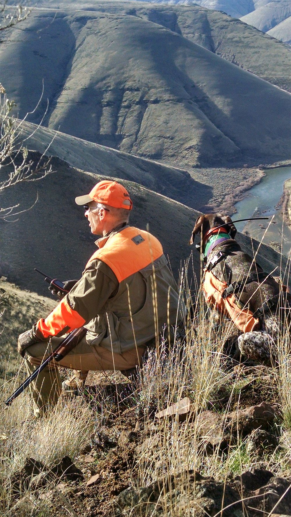 About Side By Side Upland Dog Training