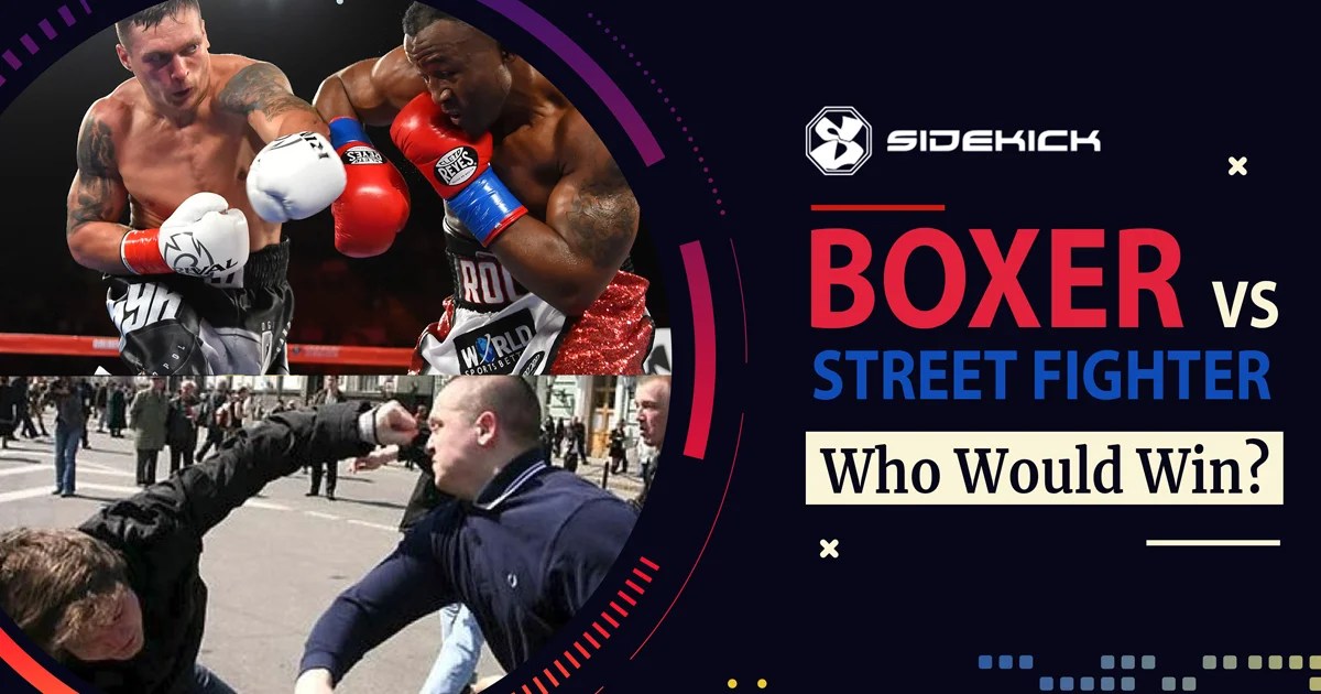 Boxer vs Street Fighter Who Would Win? Sidekick Boxing