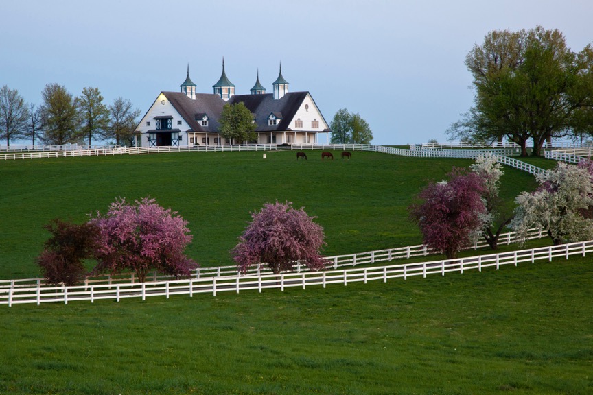Equestrian Destination Lexington, Kentucky Sidelines Magazine