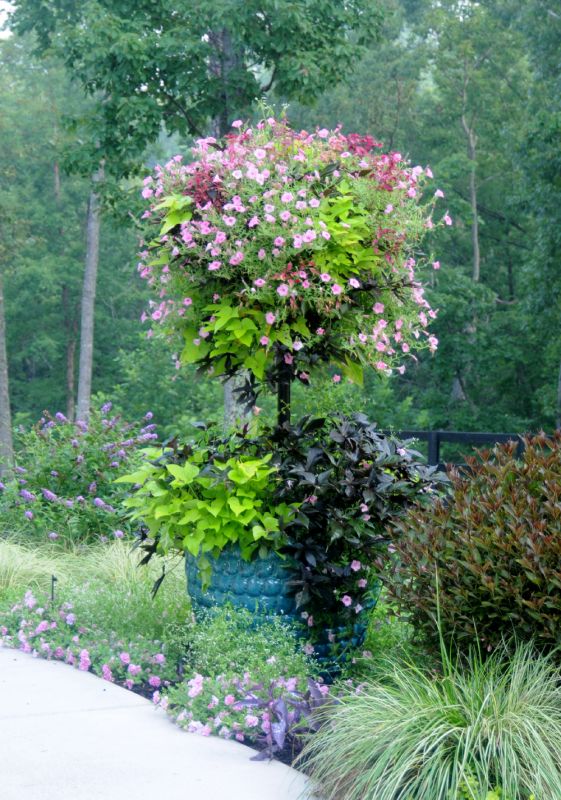 Basket Columns Green Walls Vertical Gardens Side Planting