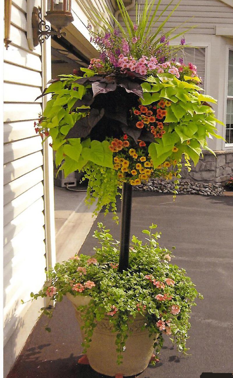 Basket Columns Green Walls Vertical Gardens Side Planting Living Walls Container