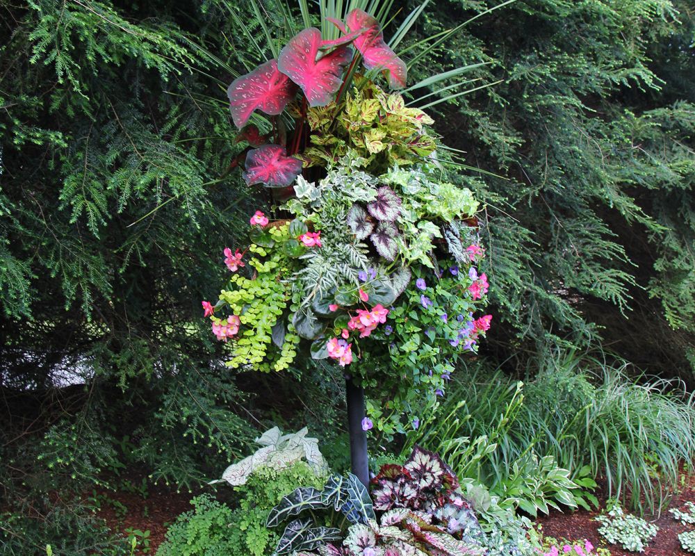 Basket Columns Green Walls Vertical Gardens Side Planting Living Walls Container