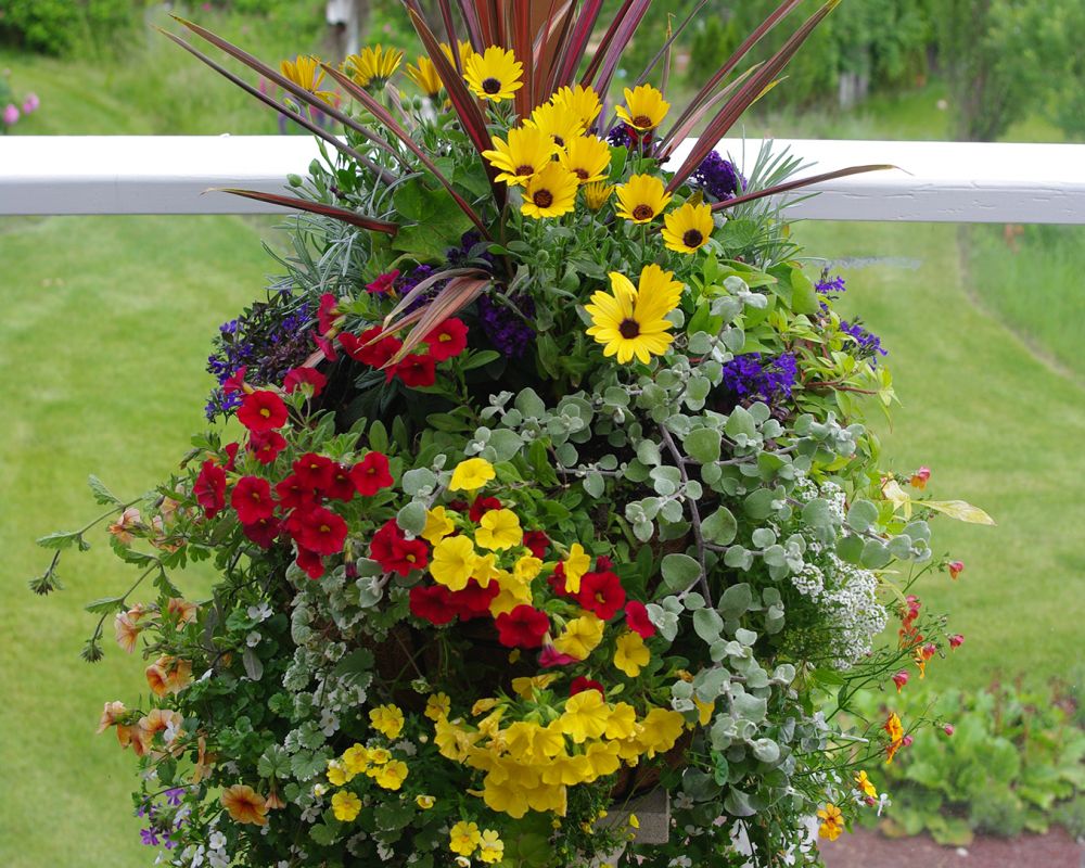 Hanging Baskets Green Walls Vertical Gardens Side Planting
