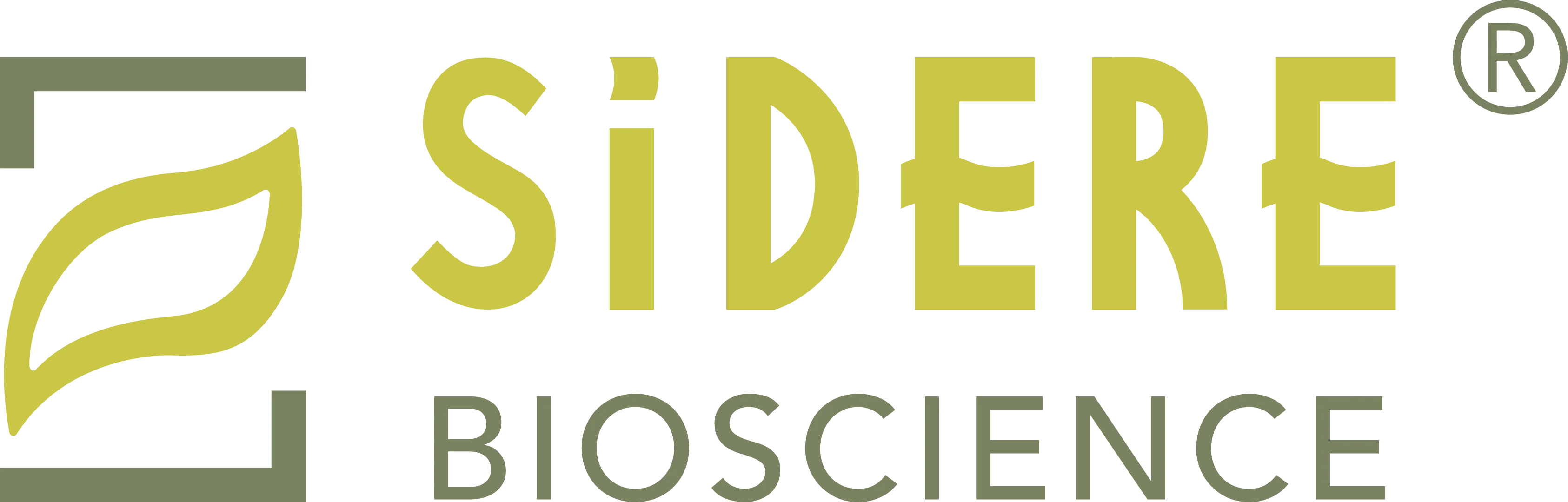 Welan Gum Sidere Bioscience Limited