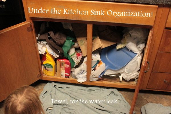 Under Sink Mess