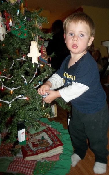 Toddler & Christmas Tree