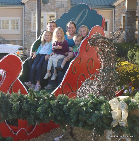 Chateau Sleigh