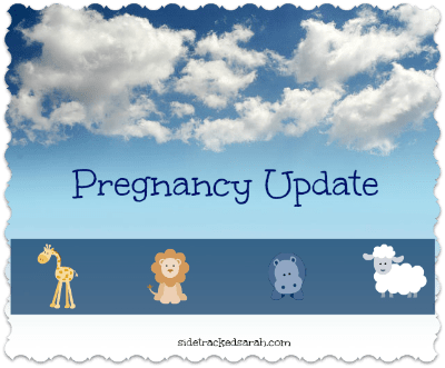 Pregnancy Update - Sidetracked Sarah