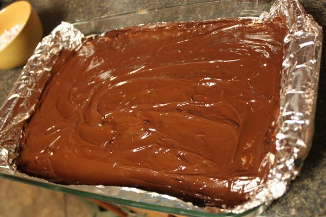 Chocolate Peppermint Bars | Sidetracked Sarah