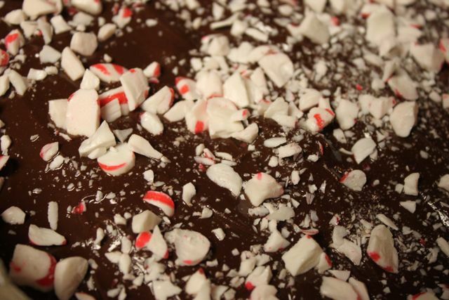 Chocolate Peppermint Bars | Sidetracked Sarah