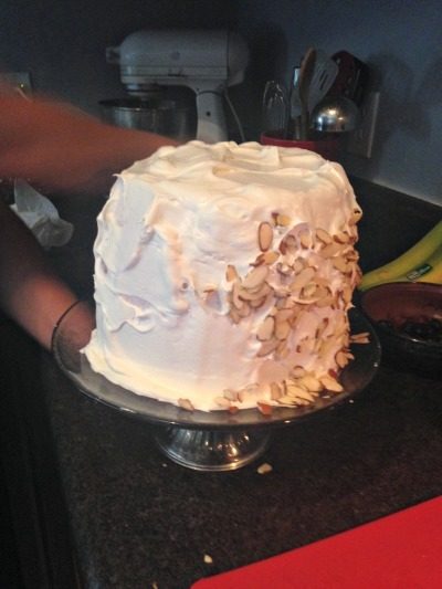 Watermelon Cake 7