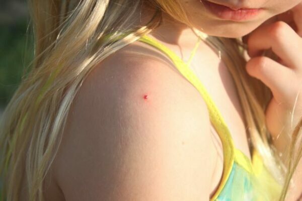 #CutterRepellents